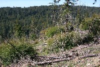 beatty_ridge_in_foreground_2_sm.jpg 162K