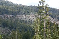 slide_area_on_west_face_of_beatty_ridge_sm.jpg 102K