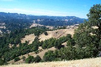 kings_ridge_from_oak_mtn_sm.jpg 128K