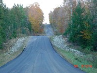 martins_woods_road.jpg 83K