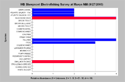 E-Fishing on WB@ Maxys Mill, August 2003