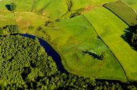 ../bw/sheepscot_aerials_2004_field.jpg + 170 KB