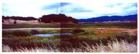 ../topics/nm/pci_novato_wetlands_1997.jpg + 243 KB