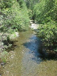 buckeye_ck_above_bridge_bel_ss_resrv2_sm.jpg 41K