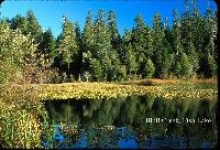 bluff_creek_fish_lake.jpg 141K