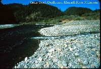 camp_creek_klamath_river.jpg 118K