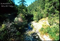 slate_creek_hwy_96_br.jpg 149K