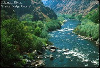 klamath_river_shasta_br.jpg 133K