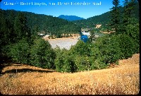 m2klamath_river_blue_heron.jpg 136K