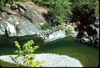 salmon_river_crapo_creek.jpg 147K