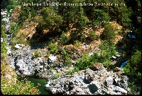 salmon_river_morehouse_ck.jpg 168K