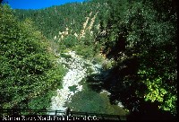 salmon_river_n_frk_idlewild.jpg 139K