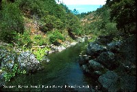 salmon_river_s_frk_french.jpg 118K