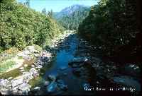 scott_river_bucker_br.jpg 113K