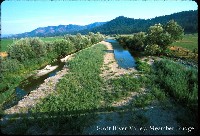 scott_river_meamber_br.jpg 109K