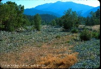 scott_valley_etna_cr_br.jpg 123K