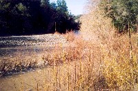 12_31_02_110a_rancheria_mp34_sm.jpg 40K