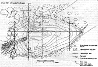 fig2.gif (57854 bytes)