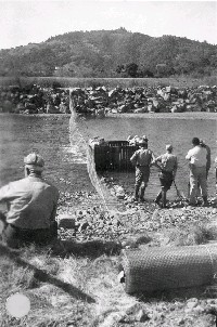 bigsulphur_1951trap_1.jpg 137K