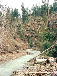 nw24_lp_timber_felled_into_stream_juan_cr_mar75.jpg 508K